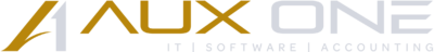 Aux One Solutions | Dubai's Best IT & Software Solution Company
